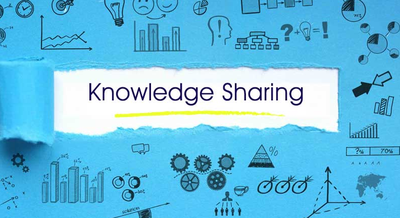 Navigating Knowledge Acquisition, Sharing, and Transfer
