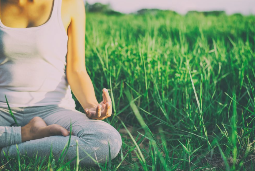 Unlocking the Power of Mindfulness and Wisdom: A Guide to Living with Purpose